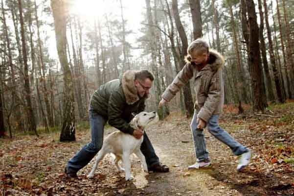 Zdjęcie: Kurzajewscy, VIVA